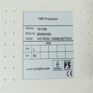 ICS TRIPLEX T8110B New AUTOMATION Controller MODULE DCS PLC Module