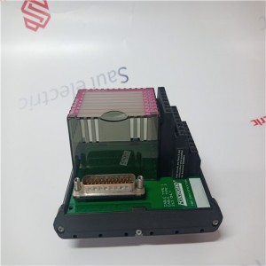 Digital 24 V ICS Triplex PLC ICS Triplex TC-205-02-4M5 AUTOMATION Controller MODULE DCS PLC Module