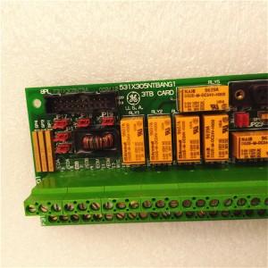 DCS Module GE IC695PBM300