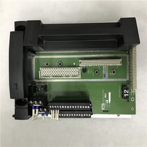 PLC Module TRICONEX AO2481