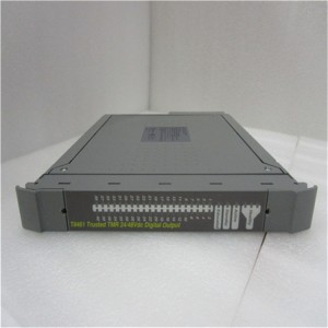 Plc Digital Input TRIPLEX T8461 8000-18000