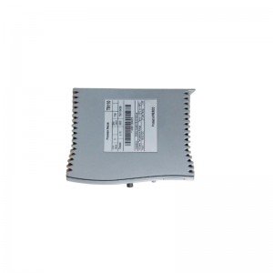 ICS TRIPLEX T8480C controller module