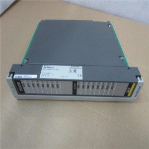 PLC Module SCHNEIDER-AS-B809-016