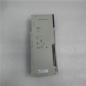 DCS Card Pieces Schneider Modicon CompactAS-B802-008 In Stock