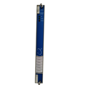 Bently Nevada 3500/60 Vibration Monitor Module | Original Supplier