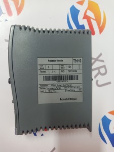 Factory Selling Directly Low price of  ICS Triplex T9110